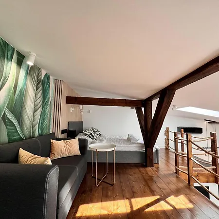 Loft In The Center By Kobiela