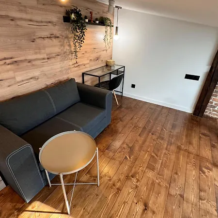 Loft In The Center By Kobiela Katowice