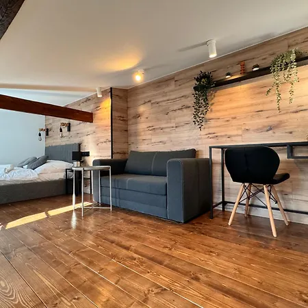 Loft In The Center By Kobiela Apartment Katowice