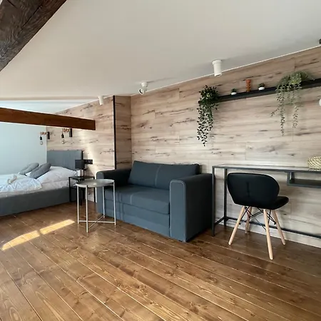 Apartment Loft In The Center By Kobiela