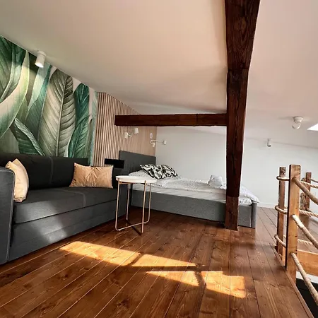 Loft In The Center By Kobiela Apartment