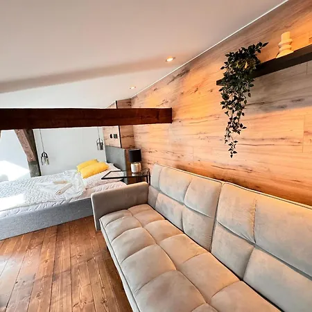 Loft In The Center By Kobiela Apartment *
