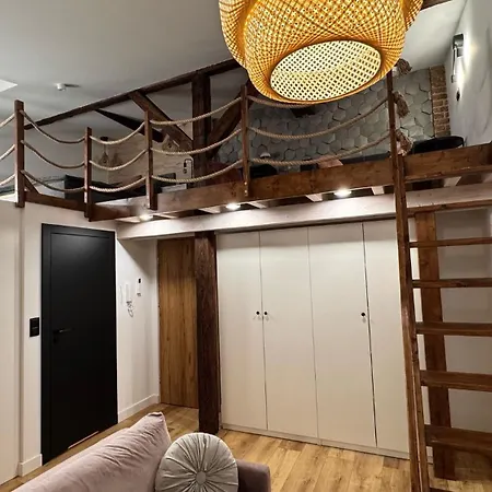 Loft In The Center By Kobiela Apartment