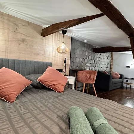 Loft In The Center By Kobiela Apartment