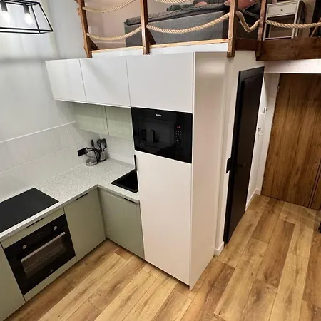 Loft In The Center By Kobiela