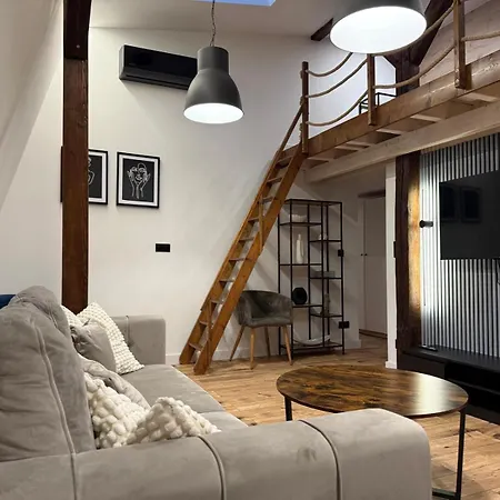 Loft In The Center By Kobiela Apartment