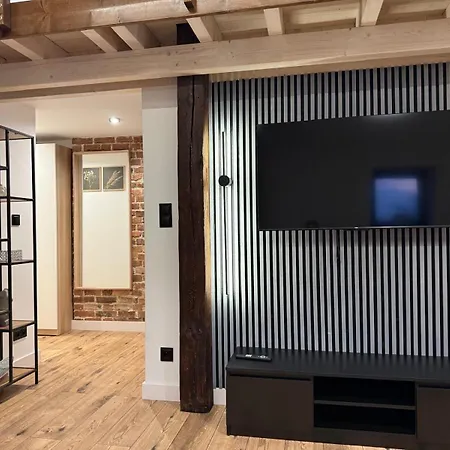 Loft In The Center By Kobiela Apartment *
