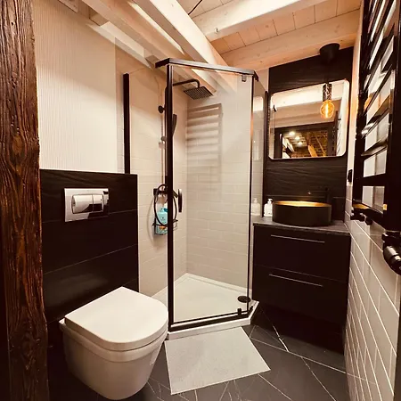 Loft In The Center By Kobiela شقة كاتوفيتسه