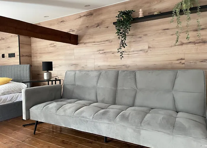 Loft In The Center By Kobiela Apartment