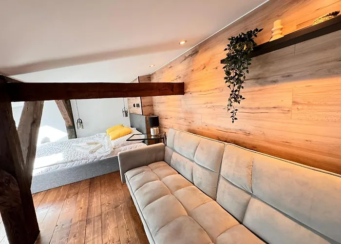 Loft In The Center By Kobiela Apartment *